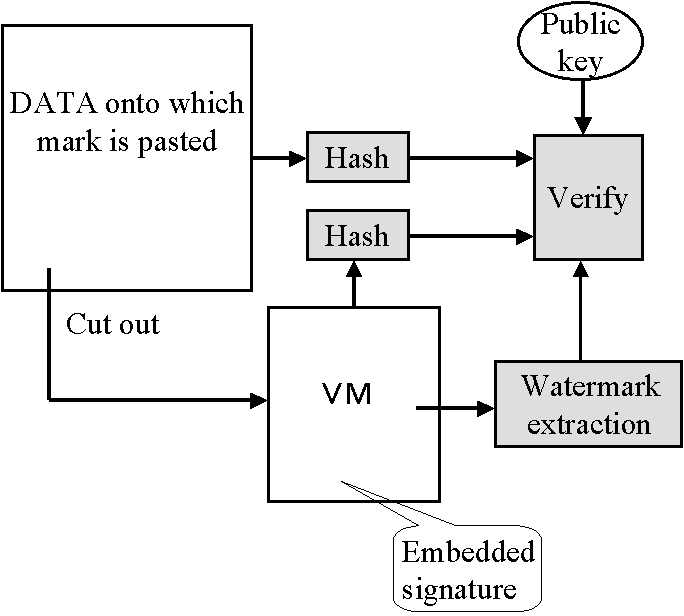 VMs verifying system