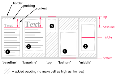 Example of vertically
aligning the cells